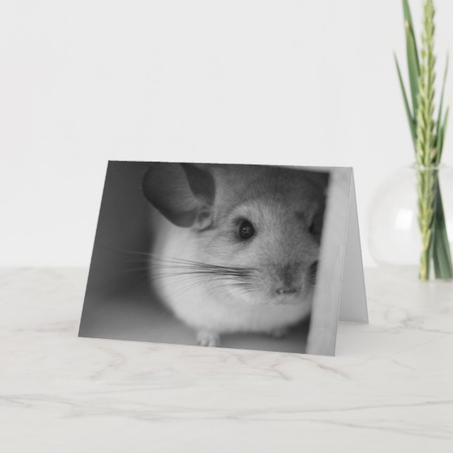 Cute Chinchilla Kort (Framsida)