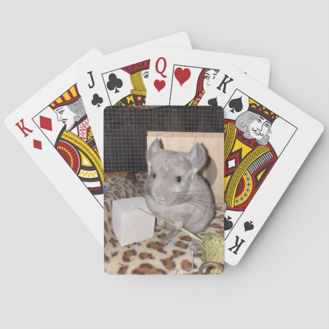 Cute Chinchilla-spelkort Casinokort (Baksidan)