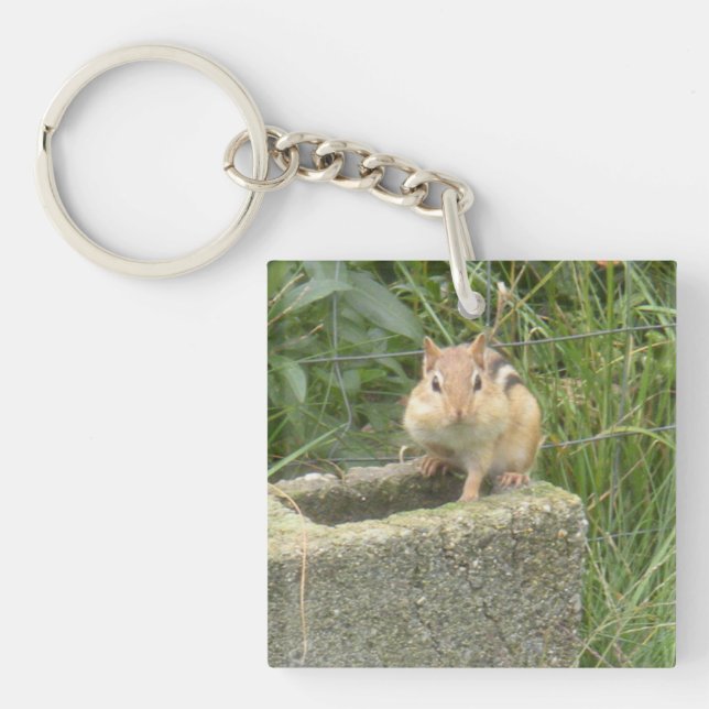 Cute Chipmunk (Framsidan)