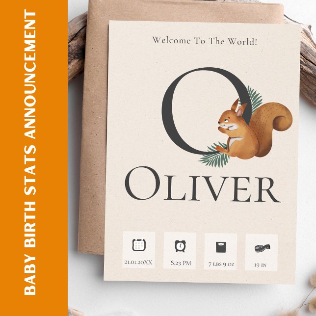 Cute Chipmunk Baby Birth Stats Notice Meddelande (Cute Chipmunk Baby Birth Stats Announcement)