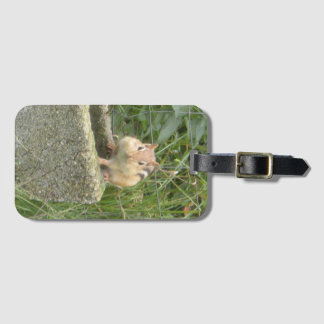 Cute Chipmunk Bagagebricka