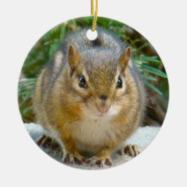 Cute Chipmunk har Öga på dig Julgransprydnad Keramik