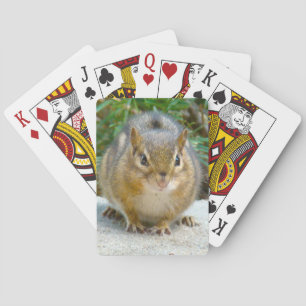 Cute Chipmunk har Öga på dig Kortlek