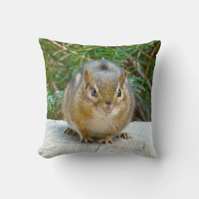 Cute Chipmunk har Öga på dig Kudde (Framsida)