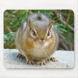 Cute Chipmunk har Öga på dig Musmatta