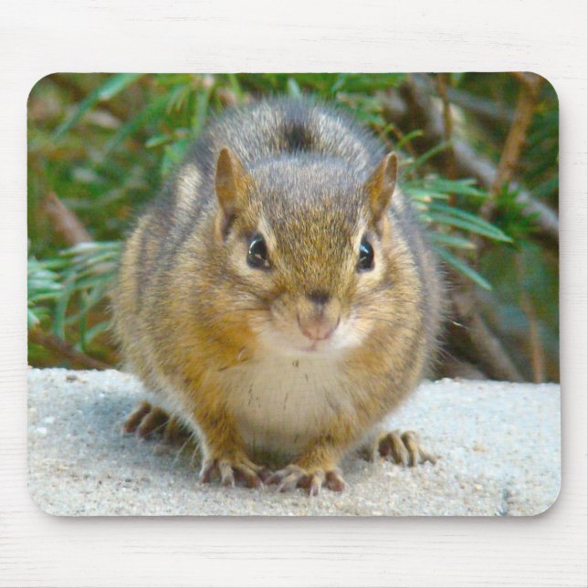 Cute Chipmunk har Öga på dig Musmatta (Framsidan)