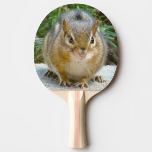 Cute Chipmunk har Öga på dig Pingisracket