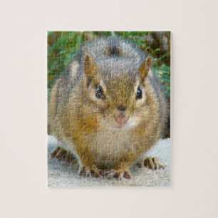 Cute Chipmunk har Öga på dig Pussel