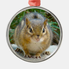 Cute Chipmunk har sin Öga på ditt keramiska prydna Julgransprydnad Metall