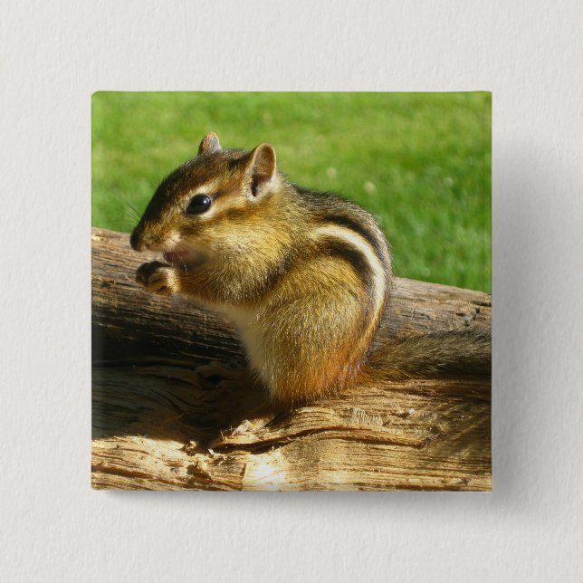 Cute Chipmunk Knapp (Framsida)