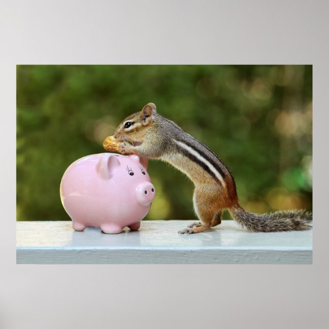 Cute Chipmunk med Funny Money Piggy Bank Bild Poster (Framsidan)