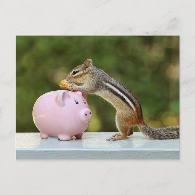 Cute Chipmunk med Funny Money Piggy Bank Bild Vykort (Framsida)
