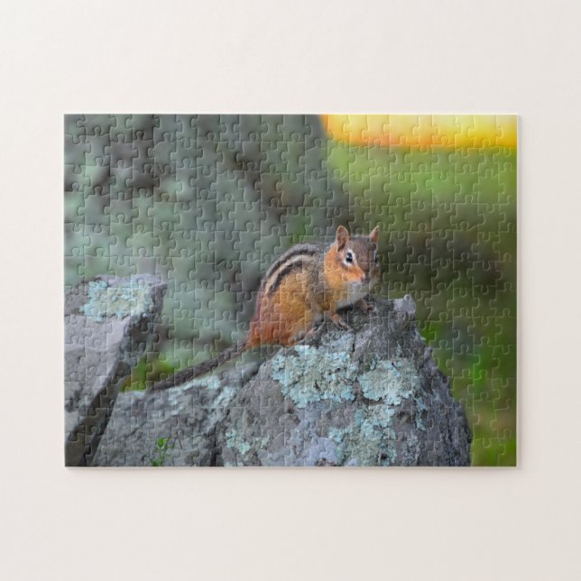 Cute Chipmunk, Shenandoah National Park Pussel (Horisontell)