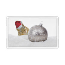 Cute Chipmunk Silver och Snö jul Helgdag