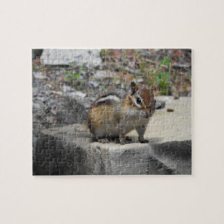 Cute Chipmunk som Critter på Sten Pussel