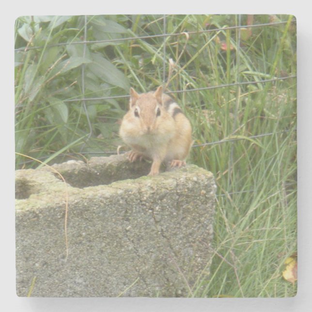 Cute Chipmunk Stenunderlägg (Framsidan)