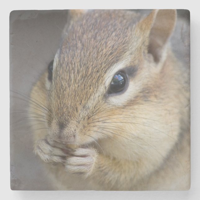 Cute chipmunk underlägg sten (Framsidan)