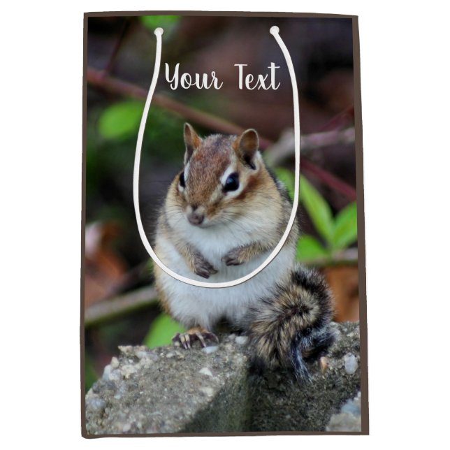Cute Chipmunk Wildlife Animal   (Framsidan)