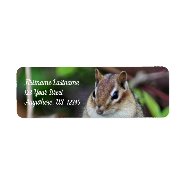 Cute Chipmunk Wildlife Animal Adress Returadress Etikett (Framsidan)
