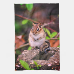 Cute Chipmunk Wildlife Kökshandduk