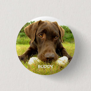 Cute Chocolate Labrador-Anpassningsbar Knapp