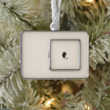 Cute Chocolate Labrador Hund - Bailey | Pet Gift