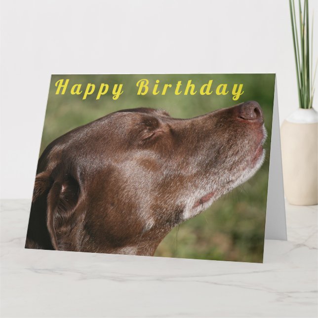 Cute Chocolate Labrador Hund - Grattis på födelsed Kort (Framsida)