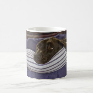 Cute Chocolate Labrador Retriever Hund in Bed Phot Kaffemugg