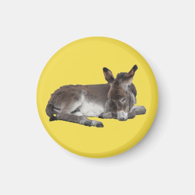 Cute Choklad donkey baby-folie sovande Magnet (Framsidan)