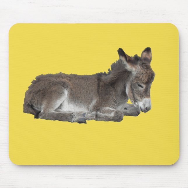 Cute Choklad donkey baby-folie sovande Musmatta (Framsidan)