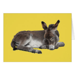 Cute choklad donkey baby folie sover på gult hälsningskort