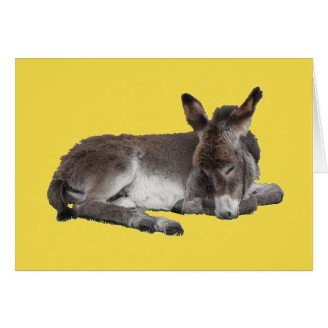 Cute choklad donkey baby folie sover på gult hälsningskort (Framsidan Horizontal)