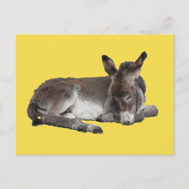 Cute Choklad donkey baby-folie sover på gult Vykort (Framsida)