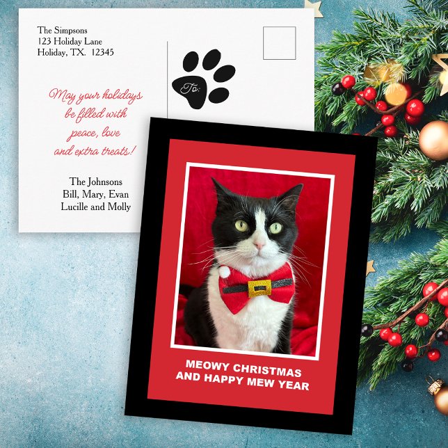 Cute Christmas Tuxedo Cat Postcard Helg Vykort (Skapare uppladdad)