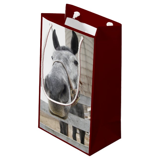 Cute Close of Horses (Baksidan Vinklad)
