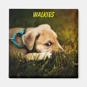 Cute Close-up Puppy Hund Magnet