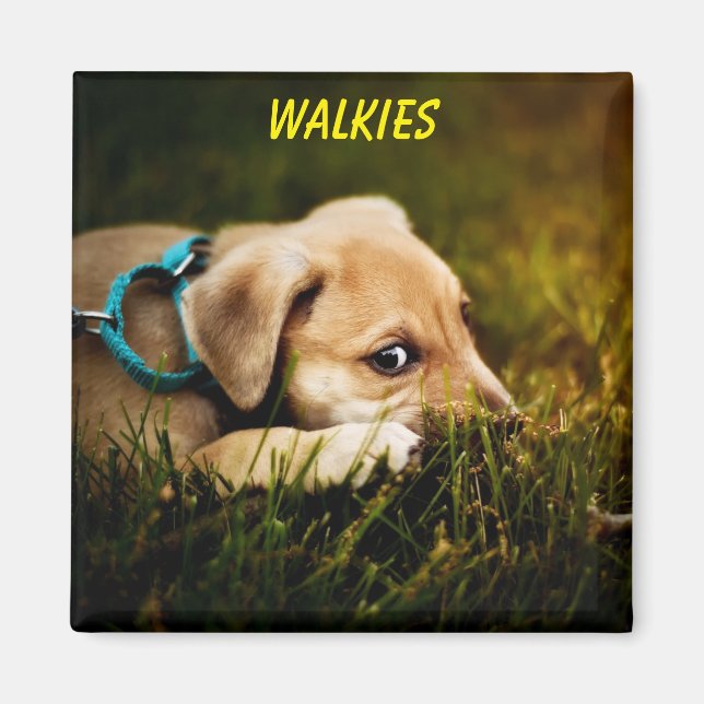Cute Close-up Puppy Hund Magnet (Framsidan)