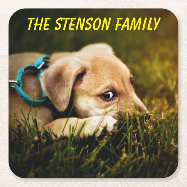 Cute Close-up Puppy Hund Underlägg Papper Kvadrat (Framsidan)