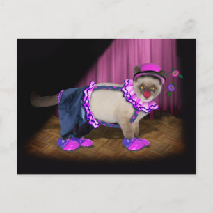 Cute Clown Kattunge Vykort