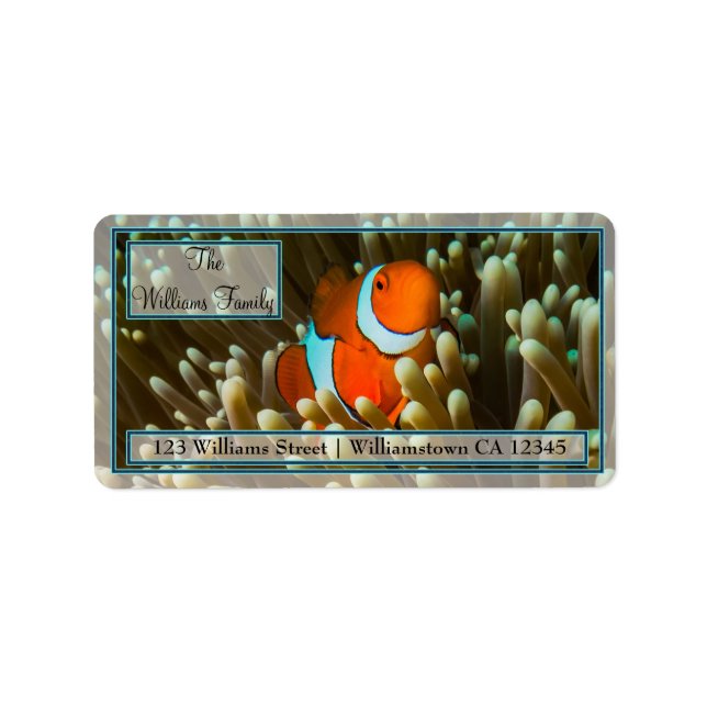 Cute Clownfish Underbar Barrier Reef Coral Sea Adressetikett (Framsidan)