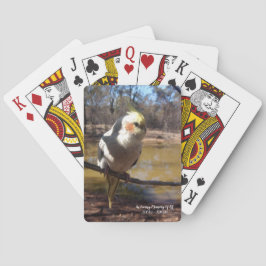 Cute Cockatiel-uppspelningskort Casinokort