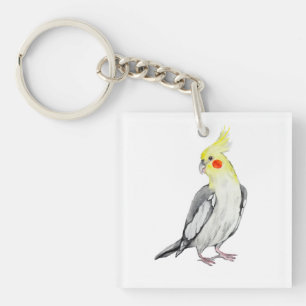 Cute Cockatiel Watercolor Parrot.