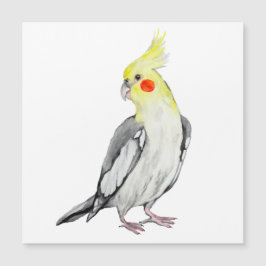 Cute Cockatiel Watercolor Parrot.