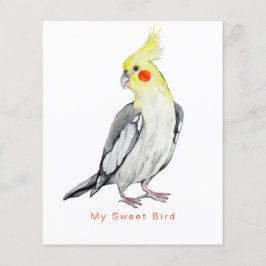 Cute Cockatiel Watercolor Parrot. Flygblad