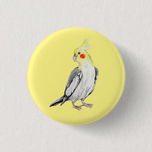 Cute Cockatiel Watercolor Parrot. Knapp