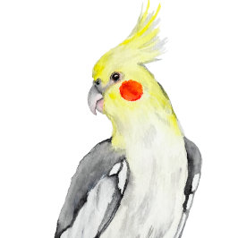 Cute Cockatiel Watercolor Parrot. Kudde
