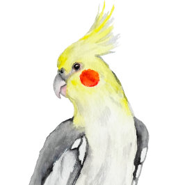 Cute Cockatiel Watercolor Parrot. Rund Kudde