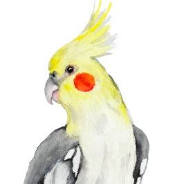 Cute Cockatiel Watercolor Parrot. T Shirt