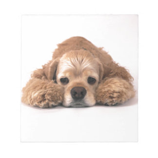 Cute Cocker Spain Anteckningsblock