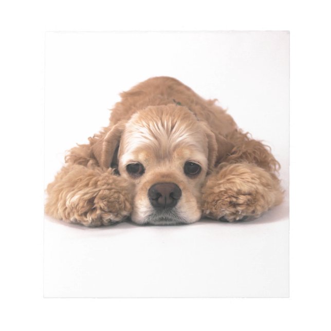 Cute Cocker Spain Anteckningsblock (Framsida)